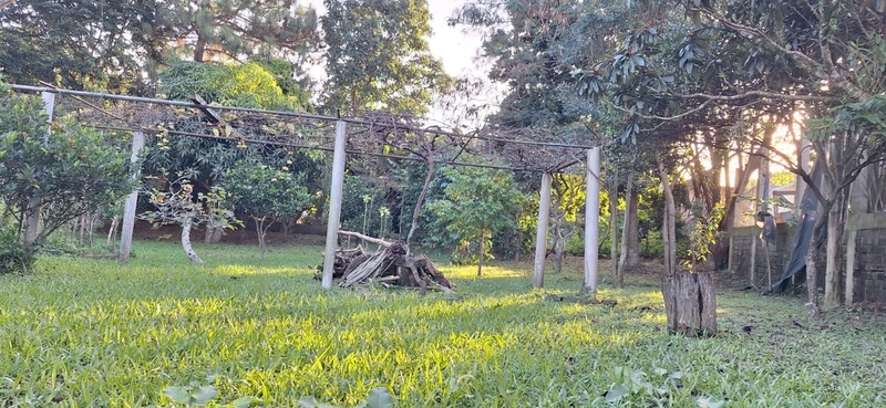 Casas em Terreno Amplo, Localização Privilegiada.: 20ª foto da galeria de imagens do imóvel