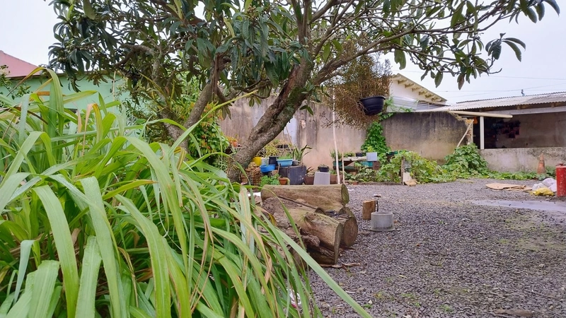 VENHA CONFERIR ESSA CASA!: 5ª foto da galeria de imagens do imóvel