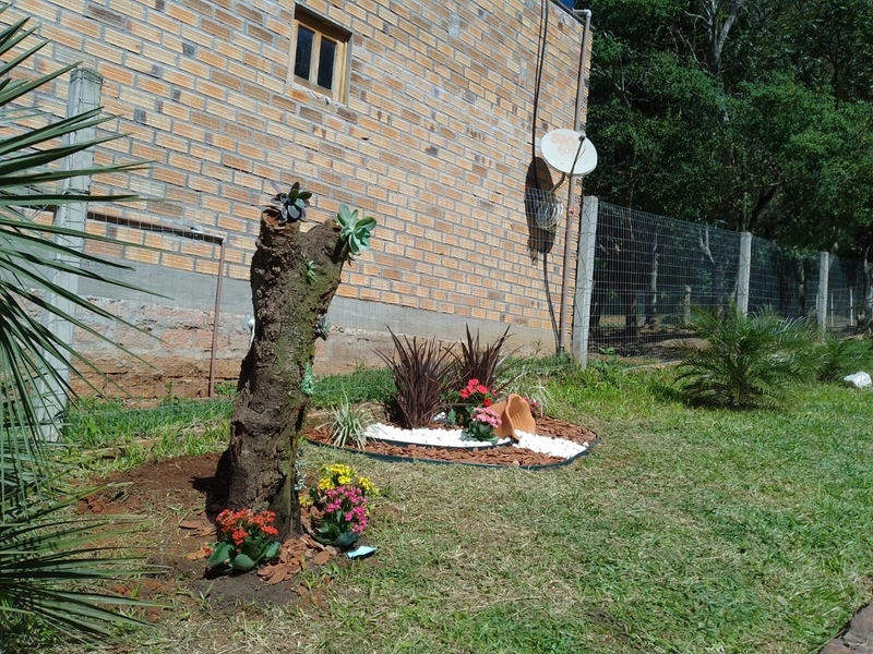 Chácara 03ha Inédita, 13km da cidade!: 3ª foto da galeria de imagens do imóvel