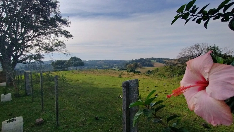 Chácara 45ha, estrutura diferencia.: 8ª foto da galeria de imagens do imóvel
