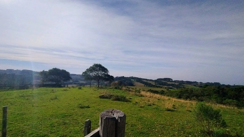 Chácara 45ha, estrutura diferencia.: 3ª foto da galeria de imagens do imóvel