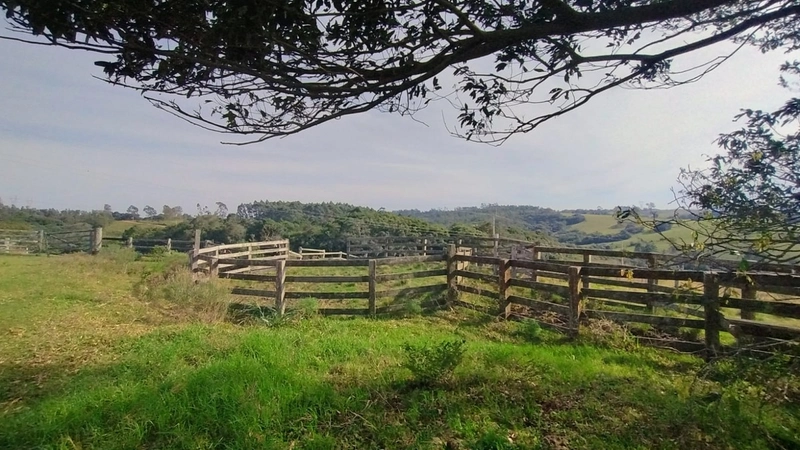 Chácara 45ha, estrutura diferencia.: 4ª foto da galeria de imagens do imóvel