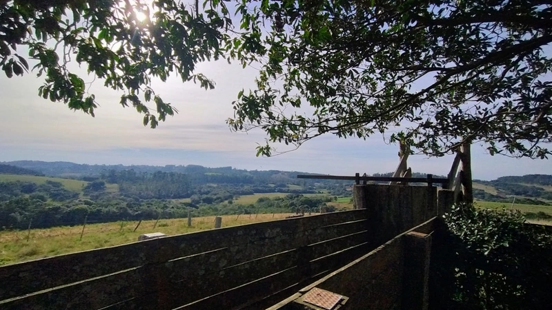 Chácara 45ha, estrutura diferencia.: 5ª foto da galeria de imagens do imóvel