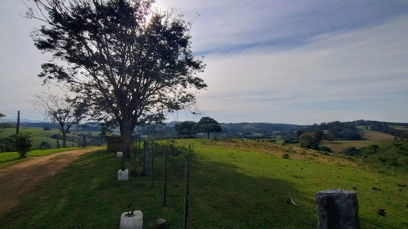 Chácara 45ha, estrutura diferencia.: 7ª foto da galeria de imagens do imóvel