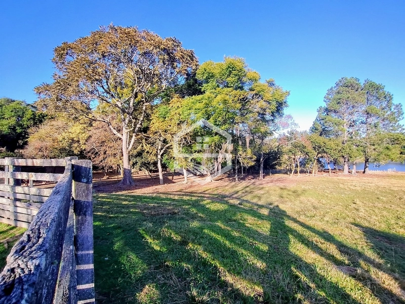 -59ha no interior de Sentinela do Sul-: 37ª foto da galeria de imagens do imóvel