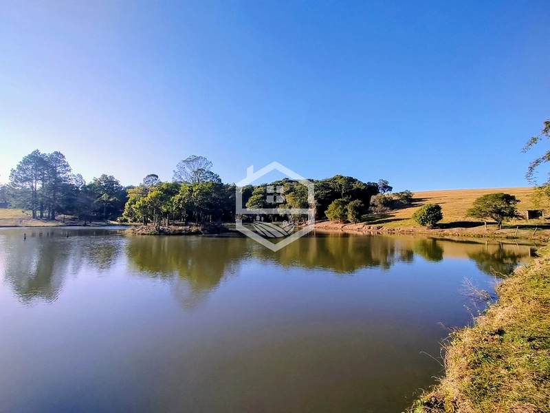 -59ha no interior de Sentinela do Sul-: 34ª foto da galeria de imagens do imóvel