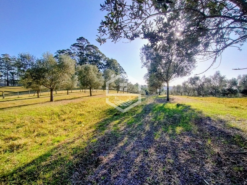 -59ha no interior de Sentinela do Sul-: 18ª foto da galeria de imagens do imóvel