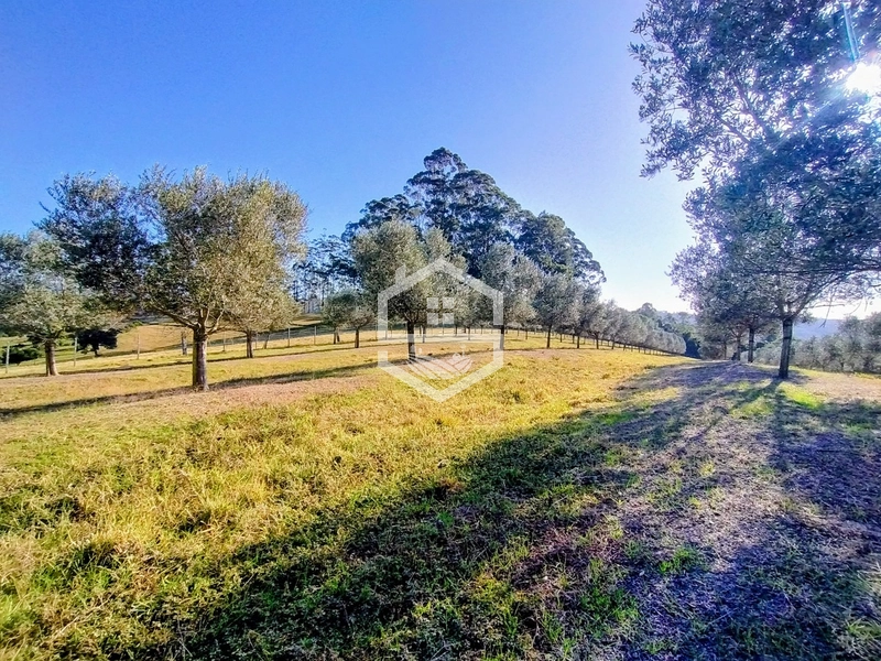 -59ha no interior de Sentinela do Sul-: 20ª foto da galeria de imagens do imóvel