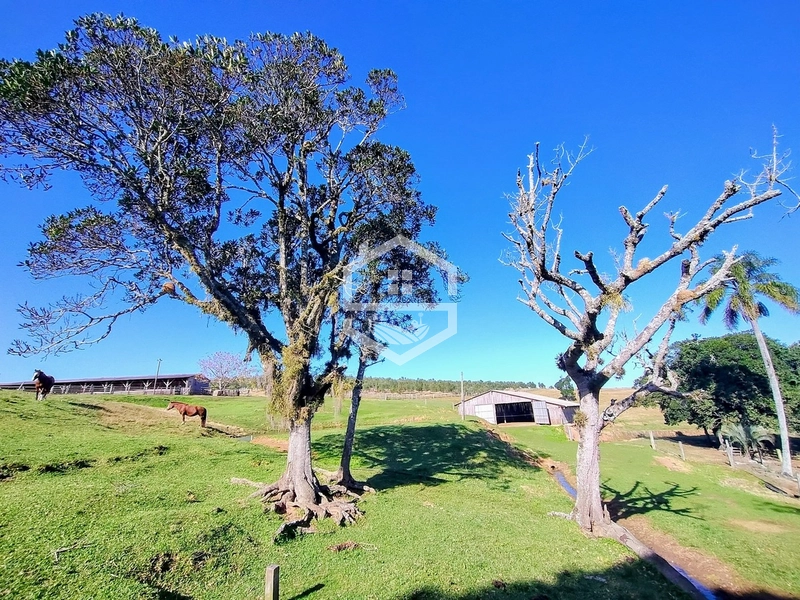 -59ha no interior de Sentinela do Sul-: 2ª foto da galeria de imagens do imóvel
