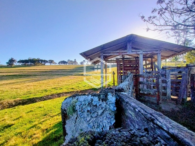 -59ha no interior de Sentinela do Sul-: 36ª foto da galeria de imagens do imóvel
