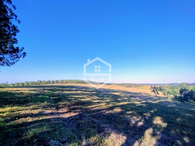 -59ha no interior de Sentinela do Sul-: 14ª foto da galeria de imagens do imóvel