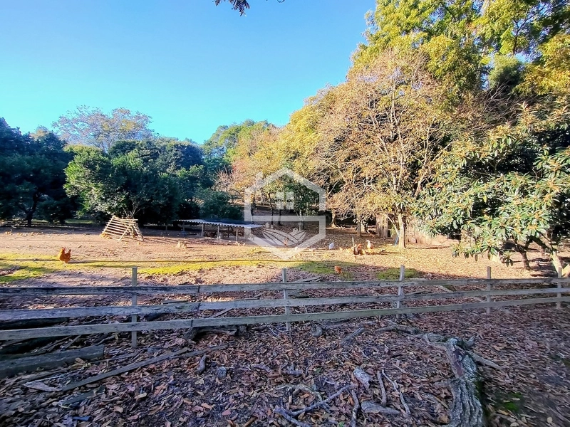 -59ha no interior de Sentinela do Sul-: 33ª foto da galeria de imagens do imóvel