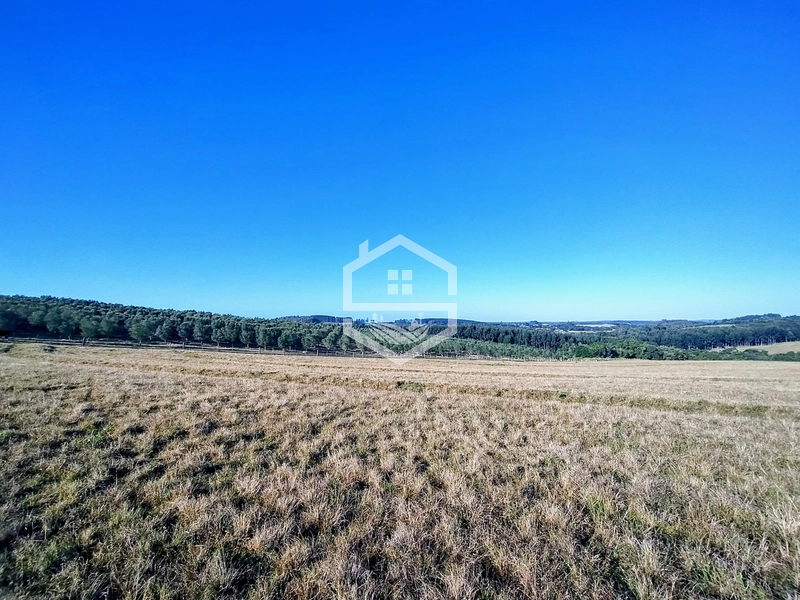 -59ha no interior de Sentinela do Sul-: 31ª foto da galeria de imagens do imóvel