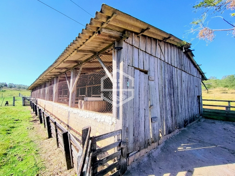-59ha no interior de Sentinela do Sul-: 8ª foto da galeria de imagens do imóvel