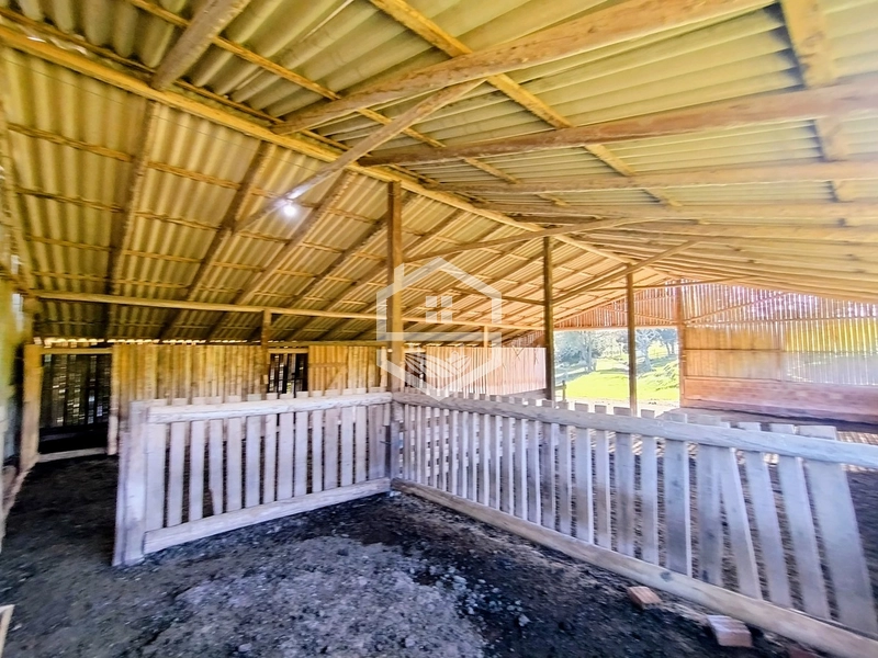 -59ha no interior de Sentinela do Sul-: 4ª foto da galeria de imagens do imóvel