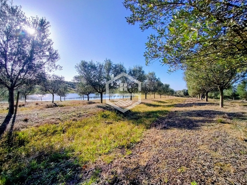 -59ha no interior de Sentinela do Sul-: 25ª foto da galeria de imagens do imóvel