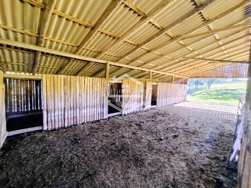 -59ha no interior de Sentinela do Sul-: 3ª foto da galeria de imagens do imóvel