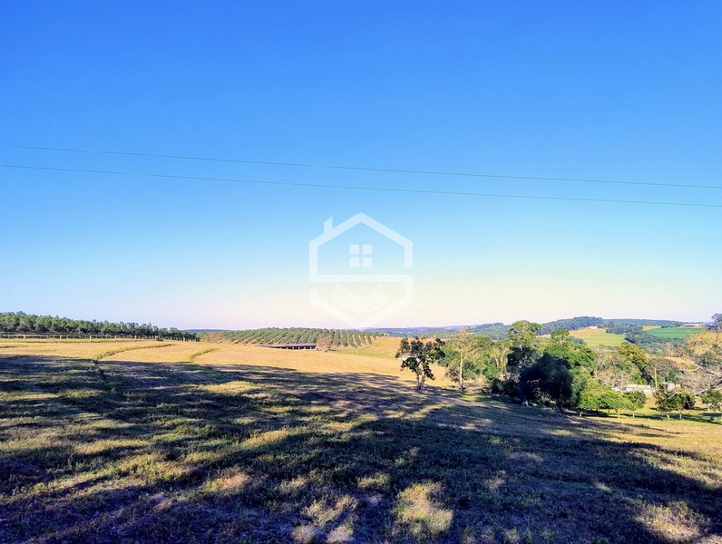 -59ha no interior de Sentinela do Sul-: 12ª foto da galeria de imagens do imóvel