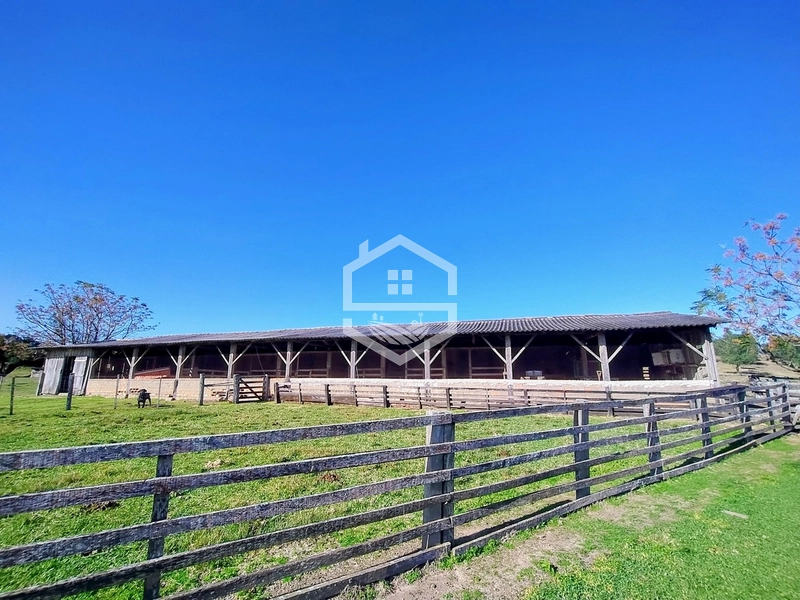 -59ha no interior de Sentinela do Sul-: 9ª foto da galeria de imagens do imóvel