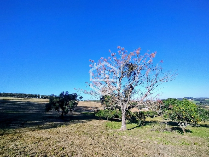 -59ha no interior de Sentinela do Sul-: 10ª foto da galeria de imagens do imóvel