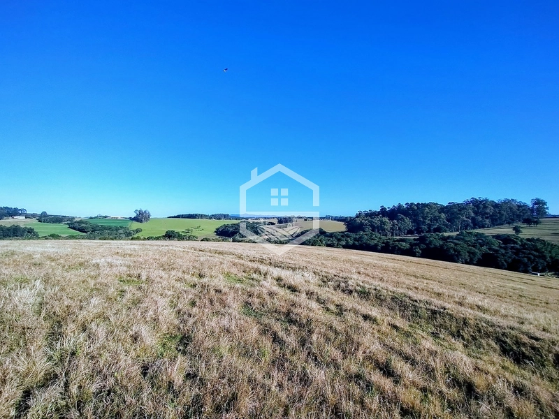 -59ha no interior de Sentinela do Sul-: 32ª foto da galeria de imagens do imóvel