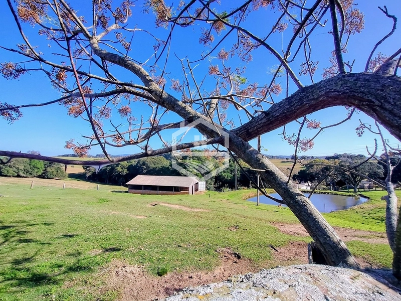 -59ha no interior de Sentinela do Sul-: 7ª foto da galeria de imagens do imóvel