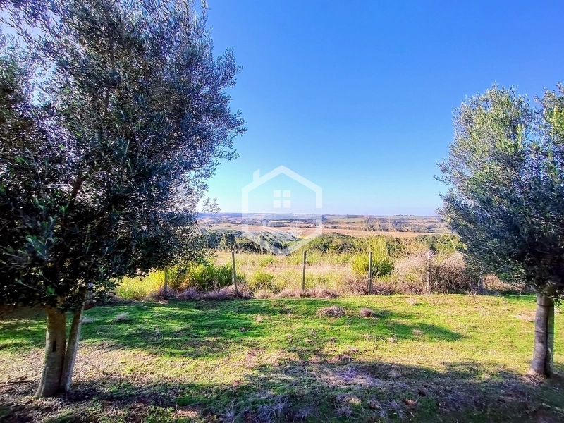 -59ha no interior de Sentinela do Sul-: 24ª foto da galeria de imagens do imóvel