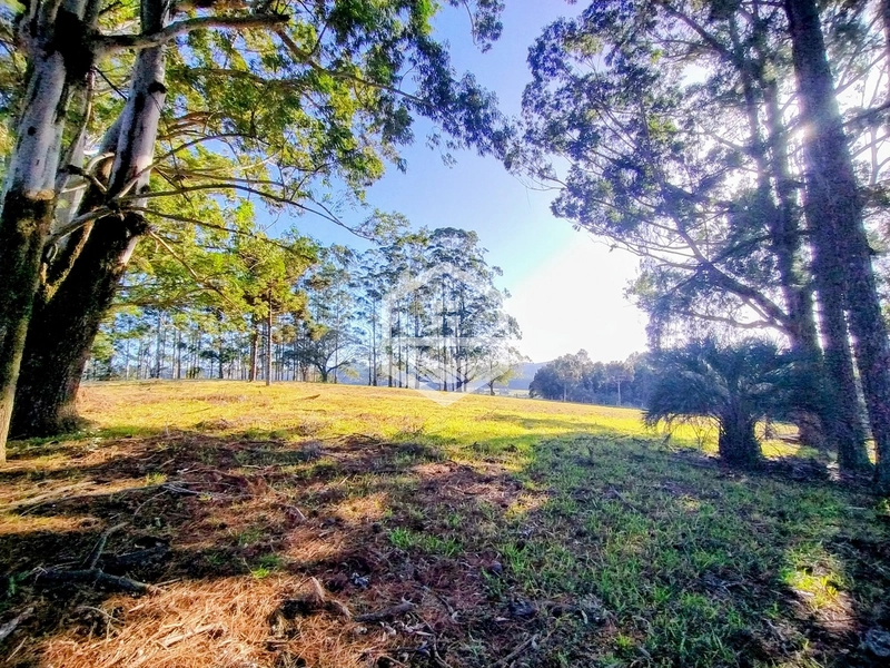 -59ha no interior de Sentinela do Sul-: 11ª foto da galeria de imagens do imóvel
