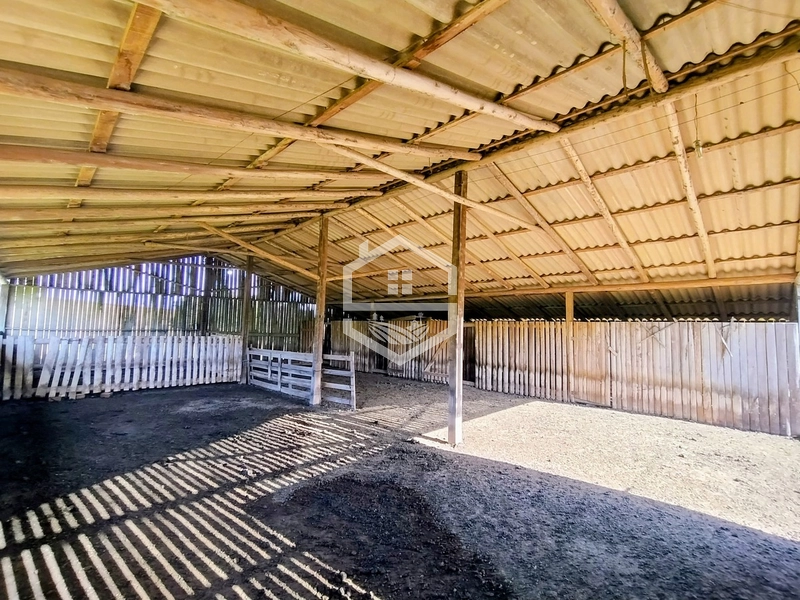 -59ha no interior de Sentinela do Sul-: 5ª foto da galeria de imagens do imóvel