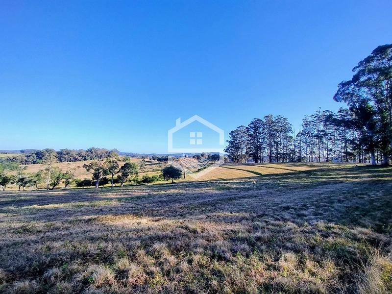 -59ha no interior de Sentinela do Sul-: 19ª foto da galeria de imagens do imóvel