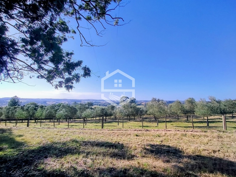 -59ha no interior de Sentinela do Sul-: 15ª foto da galeria de imagens do imóvel