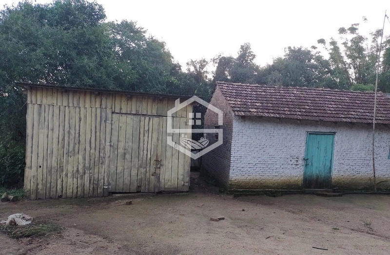 Chácara 20 hectares em Sentinela do Sul.: 2ª foto da galeria de imagens do imóvel