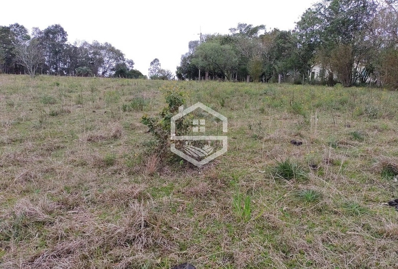 Chácara 20 hectares em Sentinela do Sul.: 7ª foto da galeria de imagens do imóvel