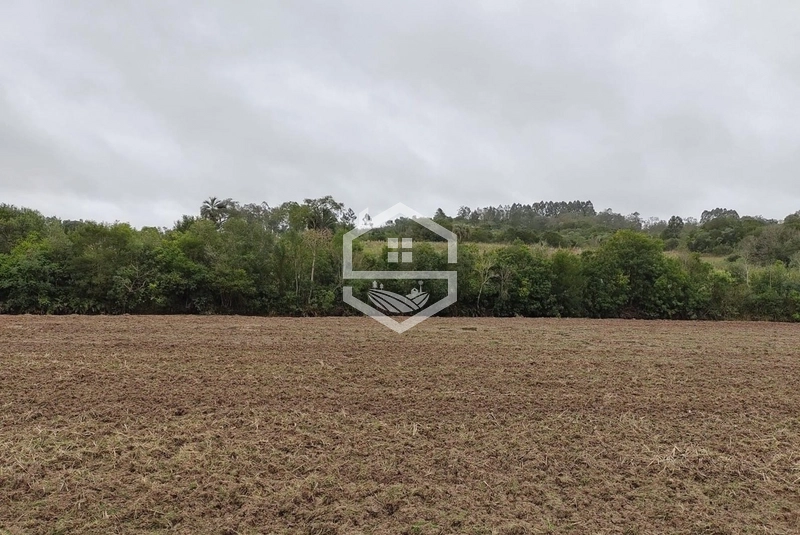 Chácara 20 hectares em Sentinela do Sul.: 9ª foto da galeria de imagens do imóvel