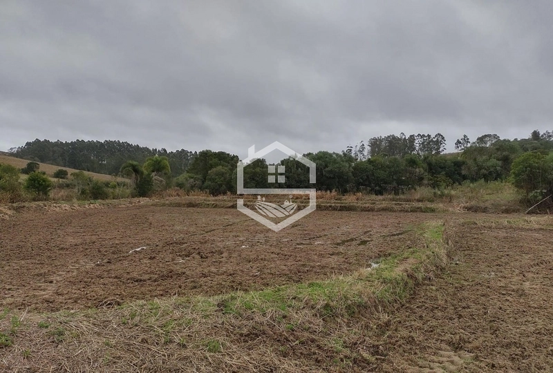 Chácara 20 hectares em Sentinela do Sul.: 5ª foto da galeria de imagens do imóvel
