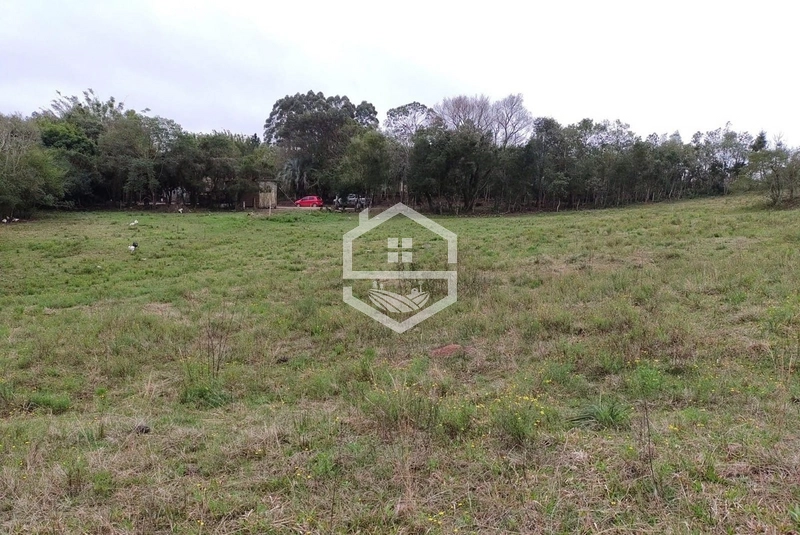 Chácara 20 hectares em Sentinela do Sul.: 6ª foto da galeria de imagens do imóvel