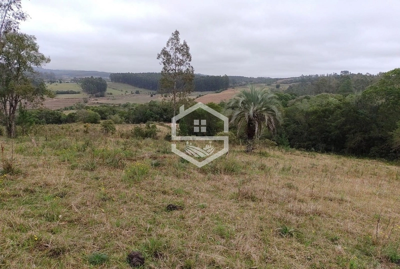 Chácara 20 hectares em Sentinela do Sul.: 8ª foto da galeria de imagens do imóvel