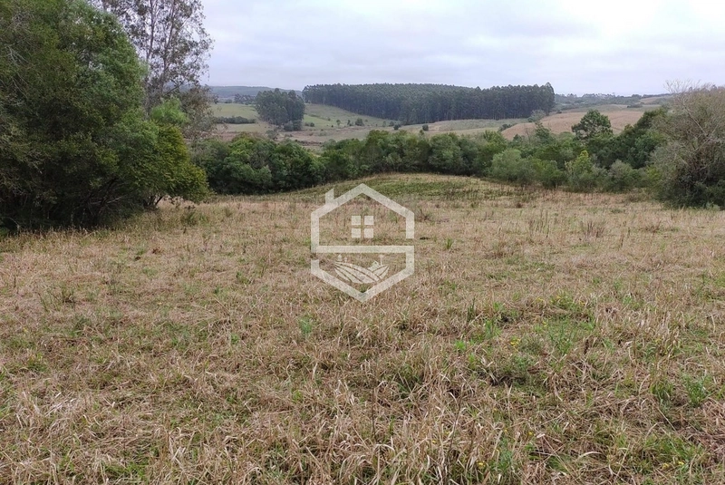 Chácara 20 hectares em Sentinela do Sul.: 3ª foto da galeria de imagens do imóvel