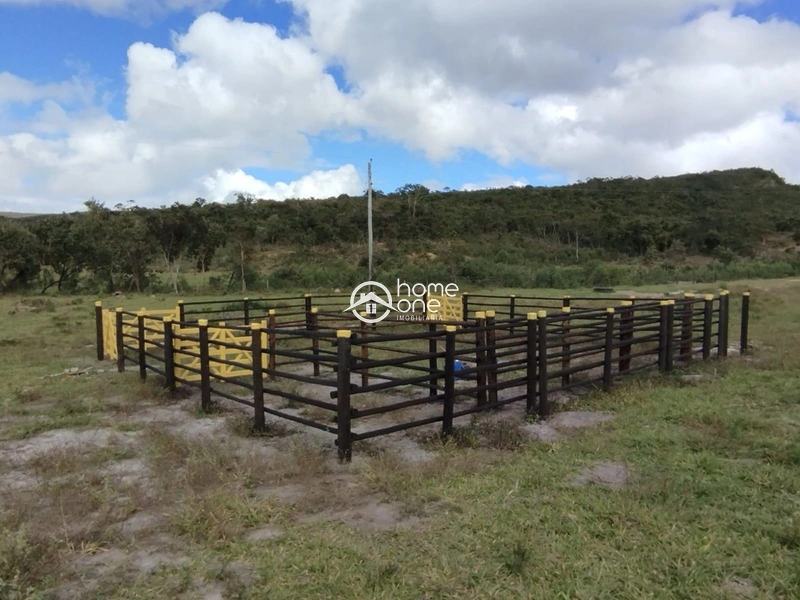 Fazenda de 2.200 hectares para café arábica e eucalipto – Pedra Azul/MG: 1ª foto da galeria de imagens do imóvel