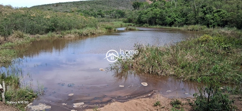 Fazenda de 2.200 hectares para café arábica e eucalipto – Pedra Azul/MG: 3ª foto da galeria de imagens do imóvel