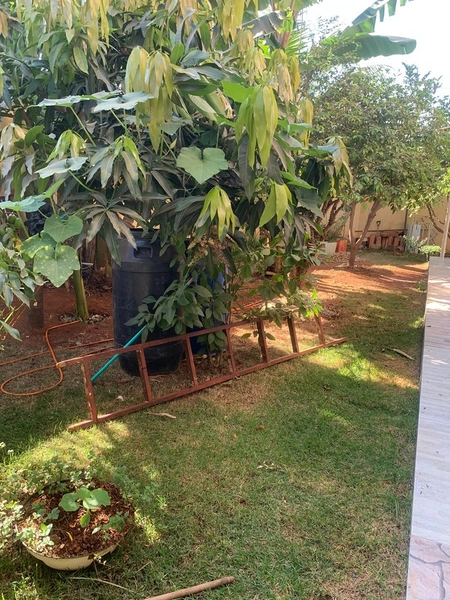 Casa em lote de 430,00m² 3/4 sendo 1 suíte e 6 vagas de garagem: 8ª foto da galeria de imagens do imóvel