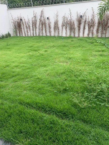 Casa à venda, Ilda, Aparecida de Goiânia, GO: 11ª foto da galeria de imagens do imóvel