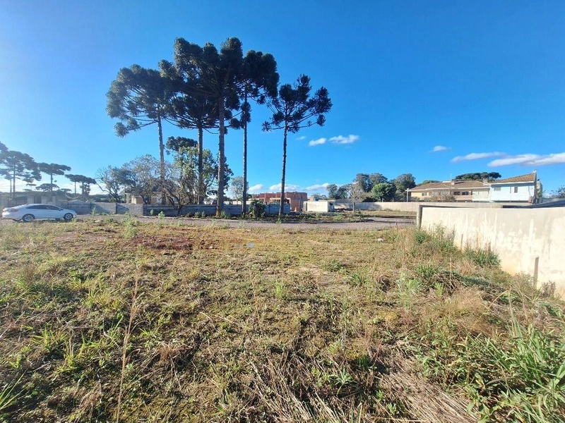 null: 10ª foto da galeria de imagens do imóvel