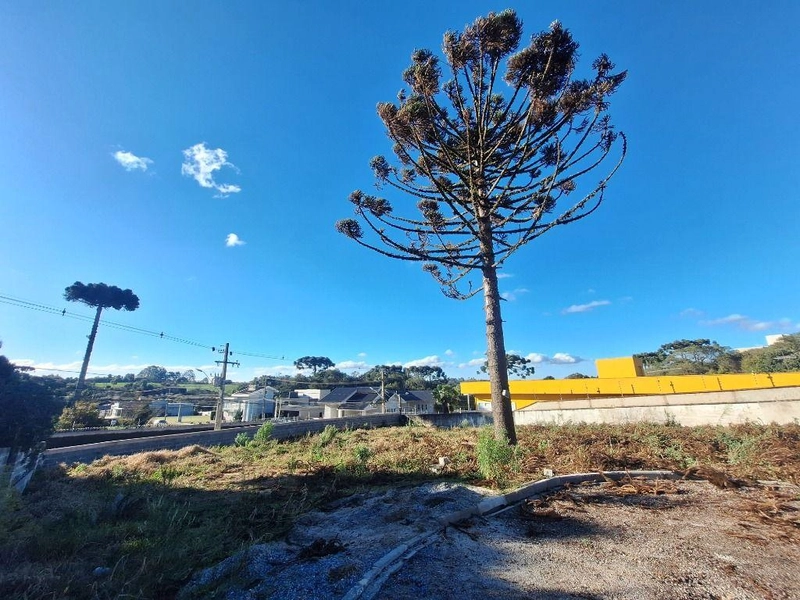 null: 15ª foto da galeria de imagens do imóvel