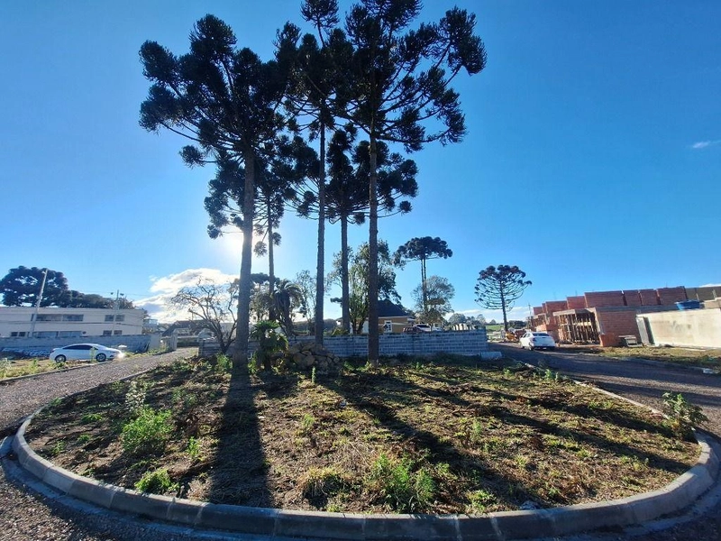 null: 17ª foto da galeria de imagens do imóvel