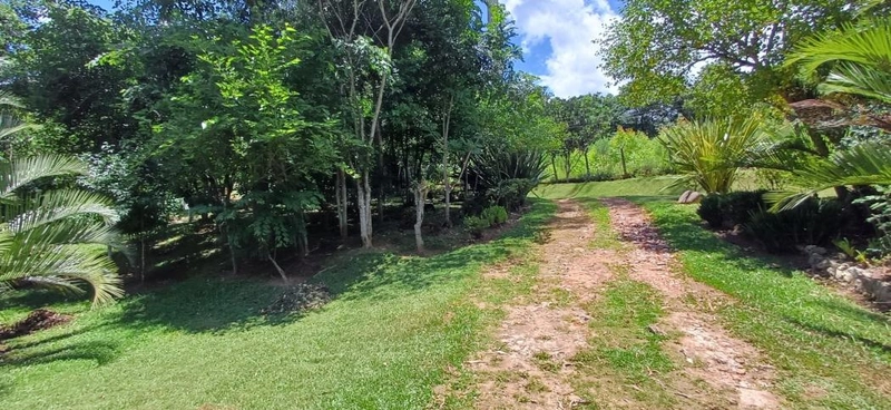 null: 26ª foto da galeria de imagens do imóvel