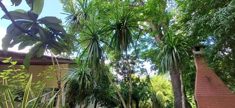 null: 9ª foto da galeria de imagens do imóvel