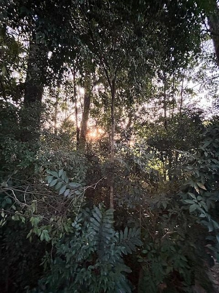 null: 16ª foto da galeria de imagens do imóvel