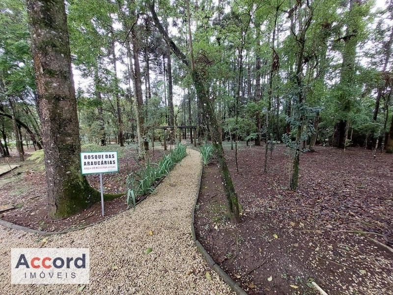 null: 14ª foto da galeria de imagens do imóvel