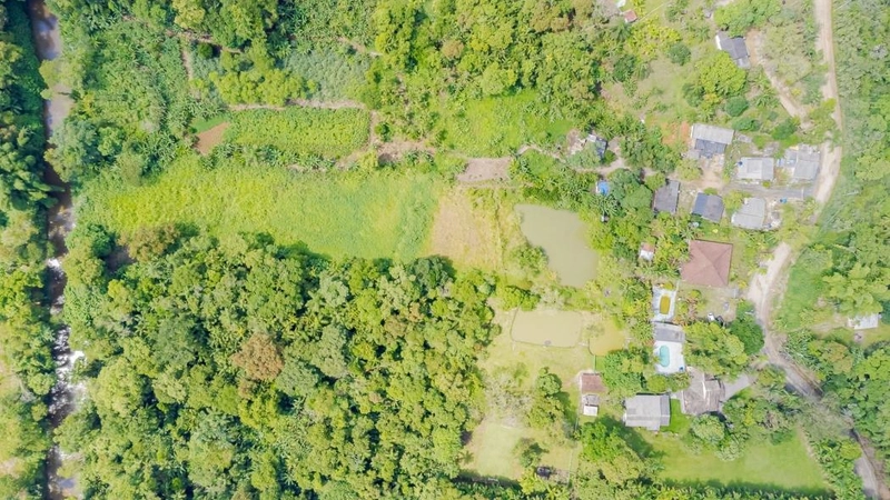 null: 42ª foto da galeria de imagens do imóvel